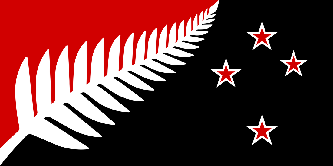 Colours Store Silver Fern Flag